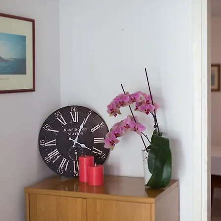 Ivy Apartment *